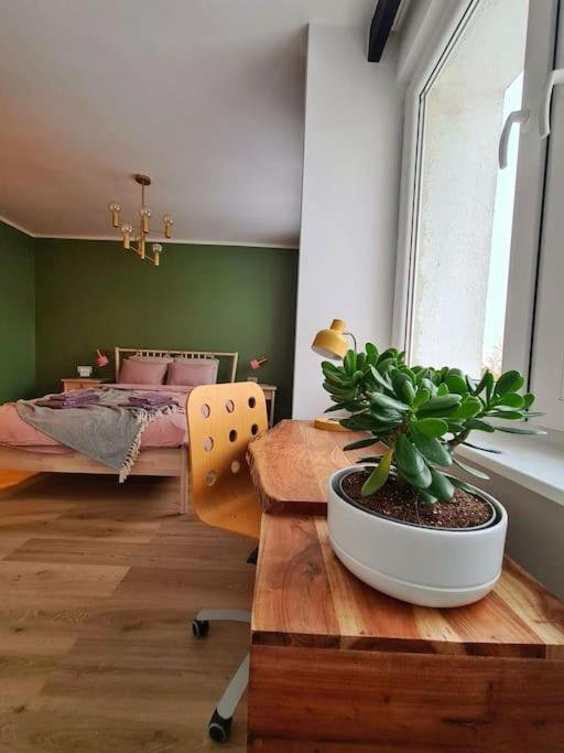 Uroczy Apartament Blisko Centrum - 10 Min Do Plazy غدينيا المظهر الخارجي الصورة
